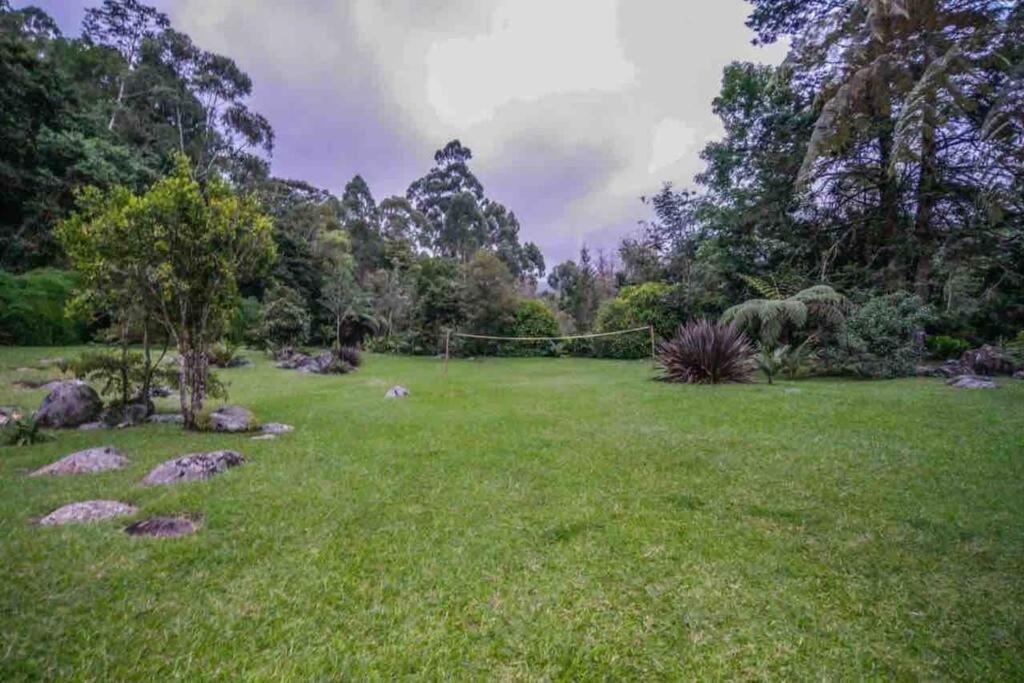 Finca Punta De Piedra Salento, Quindio Villa Exterior photo