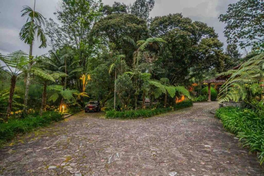 Finca Punta De Piedra Salento, Quindio Villa Exterior photo
